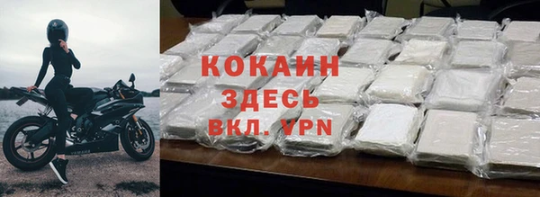 стафф Новозыбков