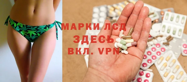 твердый Новодвинск