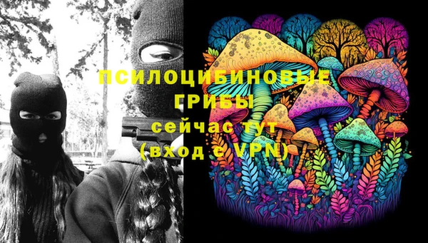 соль курить ск Белая Холуница