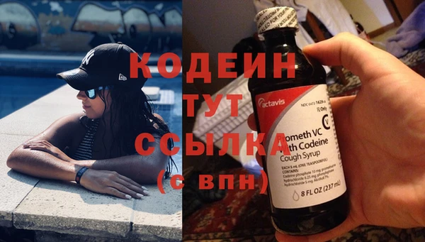стафф Новозыбков