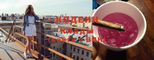 стафф Новозыбков