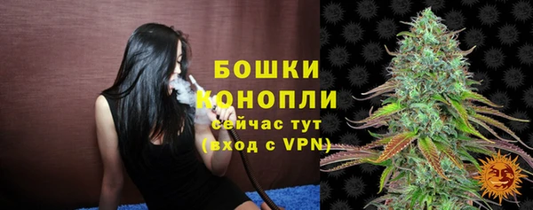 стафф Новозыбков