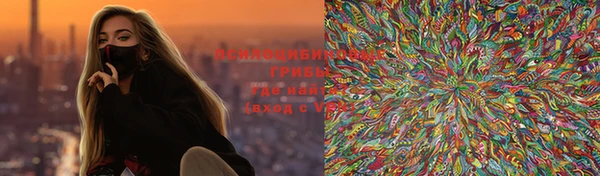твердый Новодвинск