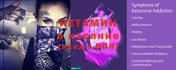 твердый Новодвинск