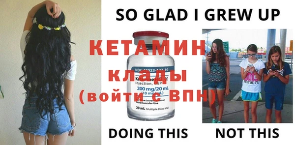 твердый Новодвинск
