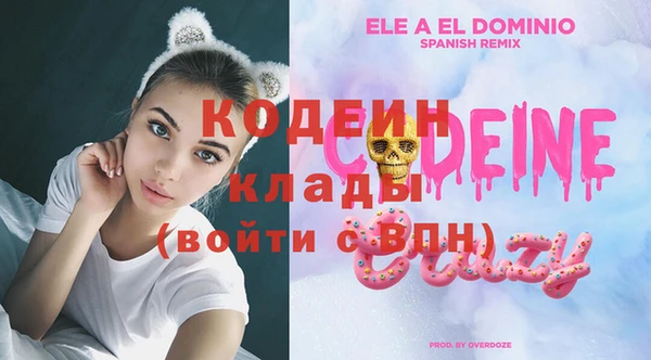 твердый Новодвинск