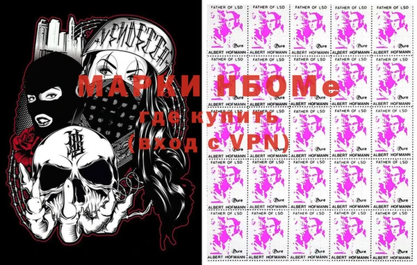 стафф Новозыбков