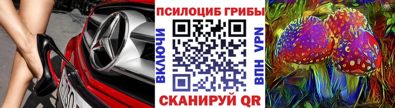 Псилоцибиновые грибы Psilocybe  что такое наркотик  Александровск-Сахалинский 
